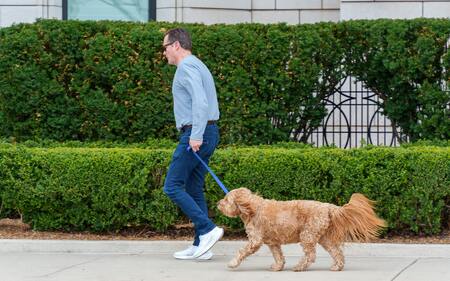 Poostren nadzor nad vodenjem psov na javnih površinah v občini Zagorje ob Savi